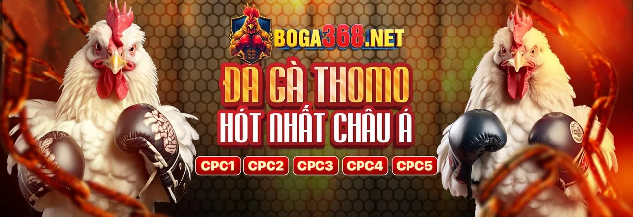 Đá gà G7BET trực tuyến hấp dẫn